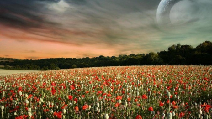 你自己觉得自己的身材好吗？